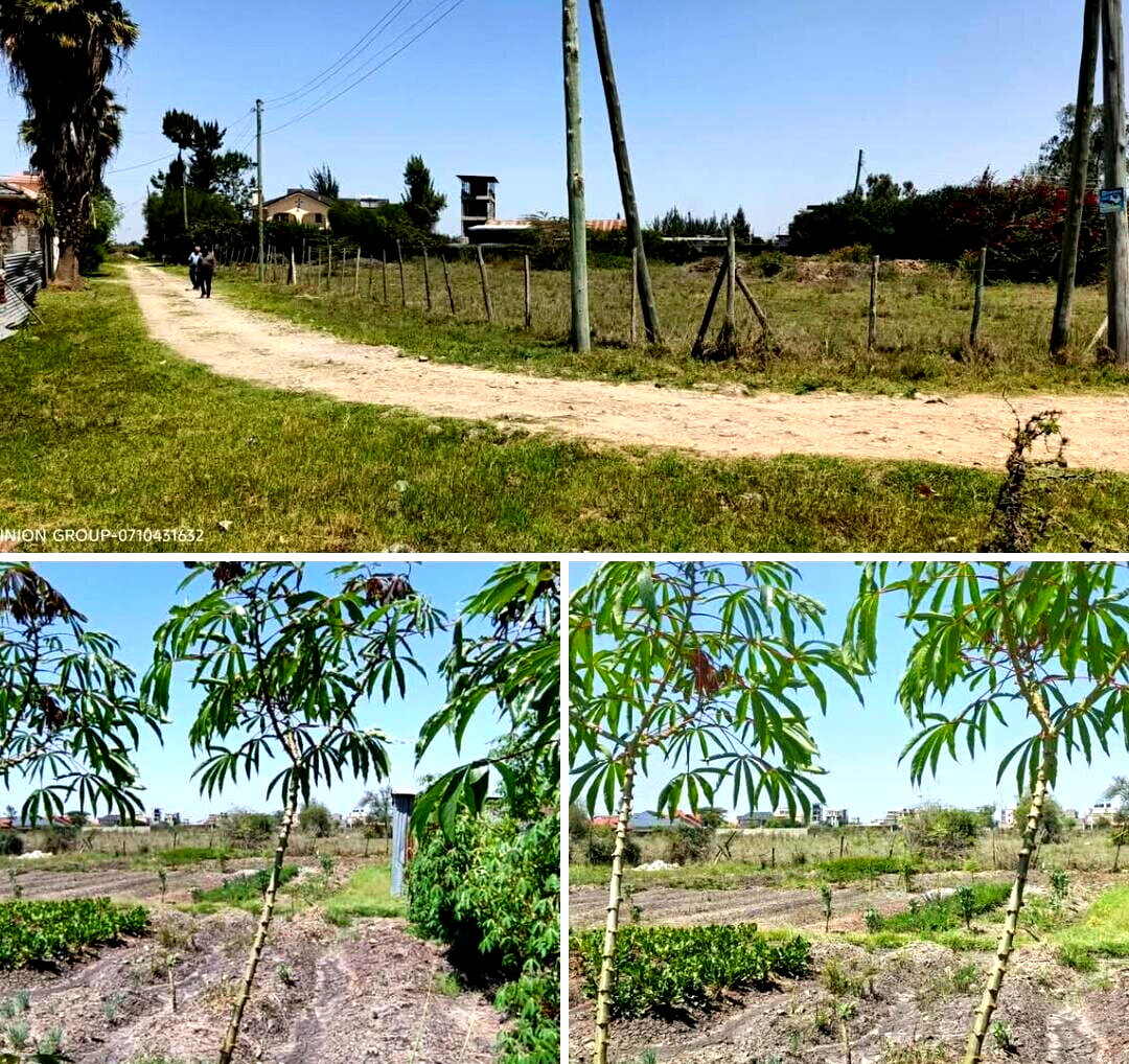 Quarter Acre Garden Plot with Parking