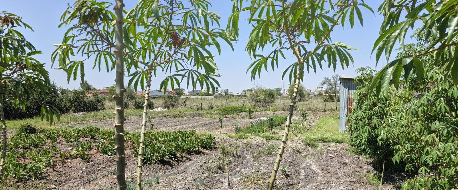 Quarter Acre Garden Plot with Parking