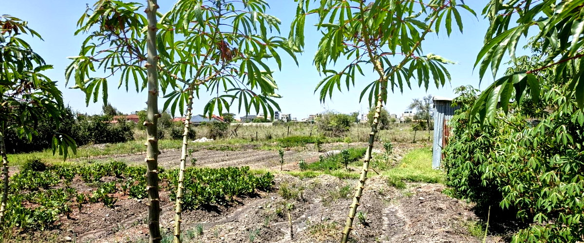 Quarter Acre Garden Plot with Parking