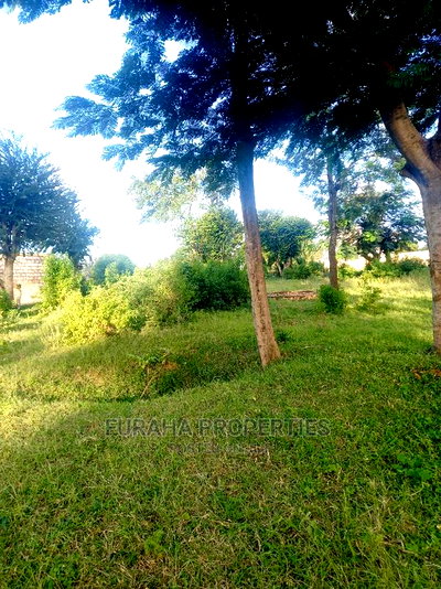 For Sale Several One Eighth Acre Plots Mtwapa - Image 3