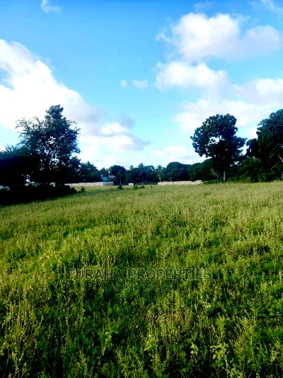 For Sale Several One Eighth Acre Plots Mtwapa - Image 7