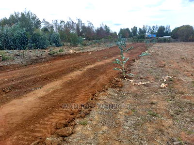 Prime Plots in Nyandarua - Image 1