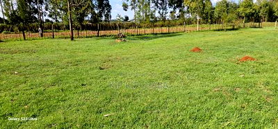 Plots for Sale in Annex Bethel Eldoret - Image 2