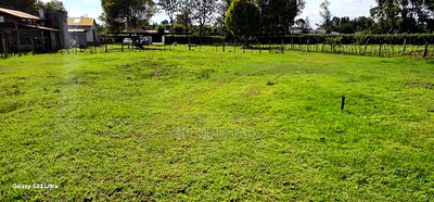 Plots for Sale in Annex Bethel Eldoret - Image 3