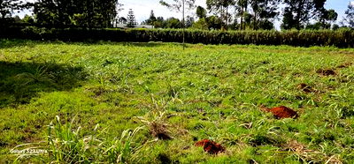 Plots for Sale in Annex Bethel Eldoret - Image 5