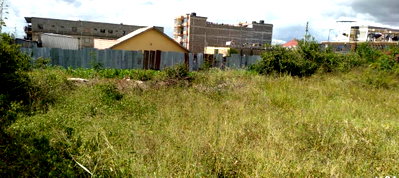 Quarter Acre Plot with Garden & Parking for KSh 8M
