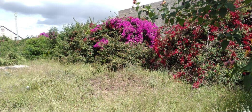 Quarter Acre Plot with Garden & Parking for KSh 8M