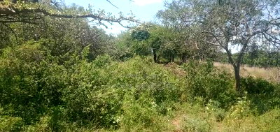 30 Acres Land Makueni - Image 3