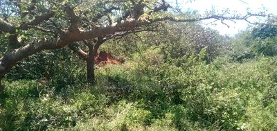 30 Acres Land Makueni - Image 1
