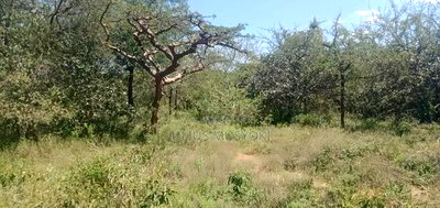 30 Acres Land Makueni - Image 2