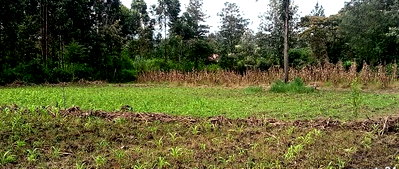3/4 Acre Plot in Kiserian at KSh 18M