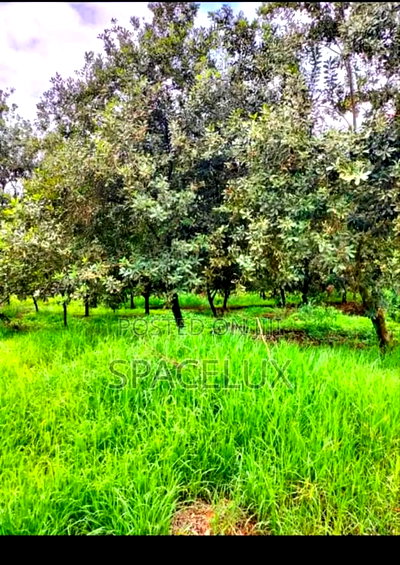 1 Acre Embakasi Kabansora Kentainer Aviation Rd - Image 2