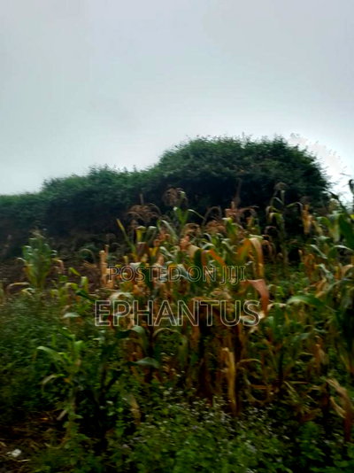 3 Ares Land for Sale in Runda - Image 4