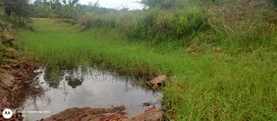 Embu County, Kiambere 6 Acres Agricultural Farmland - Image 5