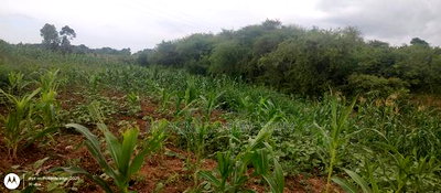 Embu County, Kiambere 6 Acres Agricultural Farmland - Image 18