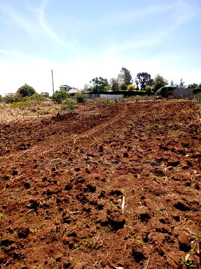 1/4 Plots Plot Misoi Area Kipkorgot - Image 1