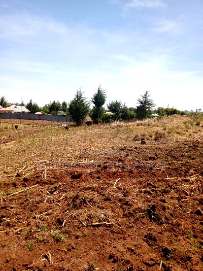 1/4 Plots Plot Misoi Area Kipkorgot - Image 2