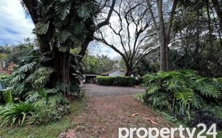 KSh 310M Kilimani Plot
