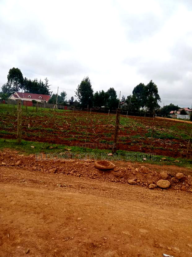 1/4 Plot Outspan With Title Less Than 500metres