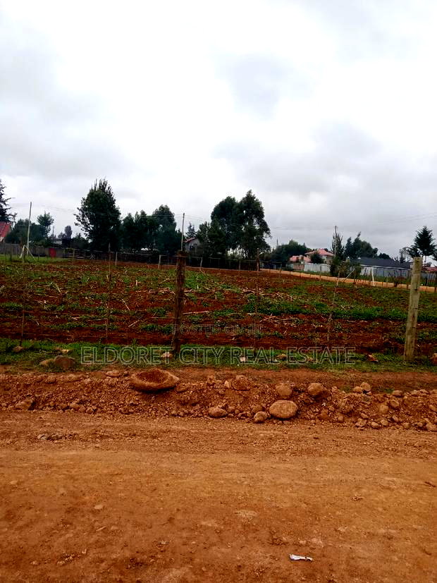 1/4 Plot Outspan With Title Less Than 500metres