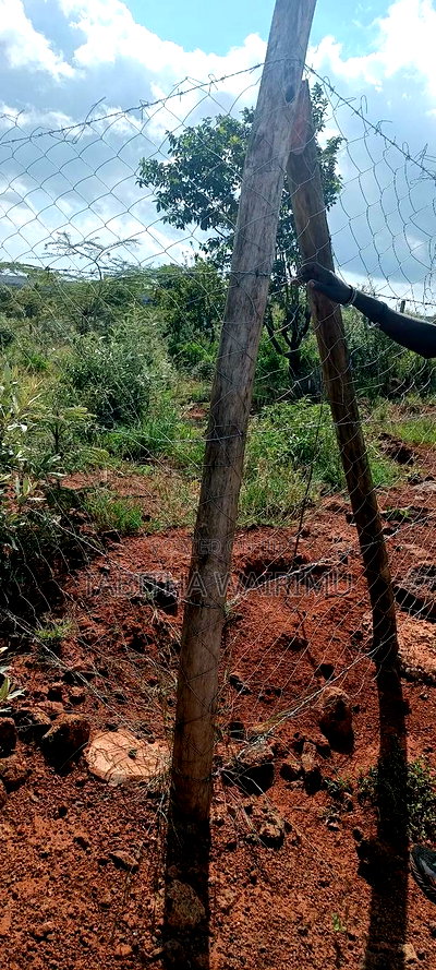 Plots for Sale 100 Metres Off Tarmac - Image 5