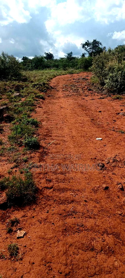 Plots for Sale 100 Metres Off Tarmac - Image 3