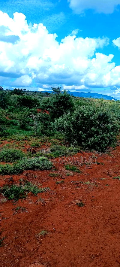 Plots for Sale 100 Metres Off Tarmac - Image 4