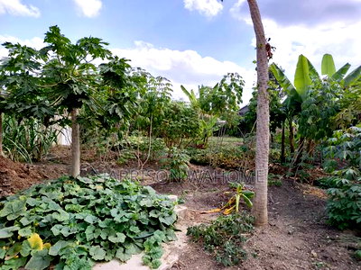 10bdrm House in Rongai for sale - Image 20