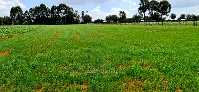 1 Acre Land for Sale in Merewet Ziwa Road in Eldoret - Image 4