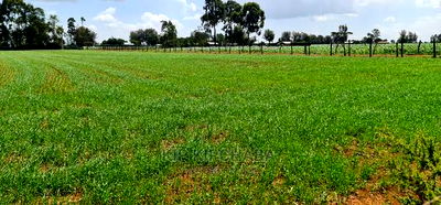 1 Acre Land for Sale in Merewet Ziwa Road in Eldoret - Image 1