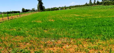1 Acre Land for Sale in Merewet Ziwa Road in Eldoret - Image 3