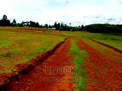 Prime Residential 1/4acre for Sale in Racecourse - Image 5