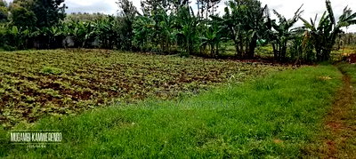 Kamiu 1/4 Acre - Image 3