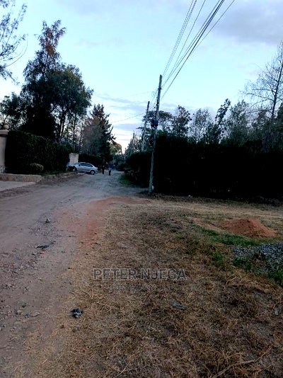 100x100 Plots Milimani New Tarmac for Sale - Image 10