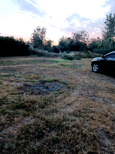100x100 Plots Milimani New Tarmac for Sale - Image 1