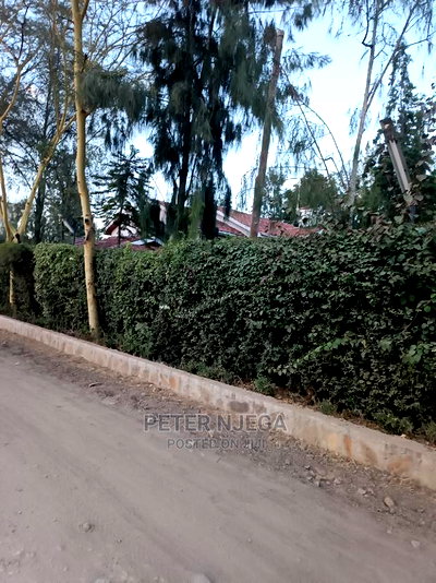 100x100 Plots Milimani New Tarmac for Sale - Image 5