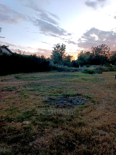 100x100 Plots Milimani New Tarmac for Sale - Image 9