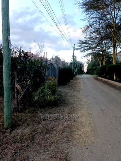 100x100 Plots Milimani New Tarmac for Sale - Image 3