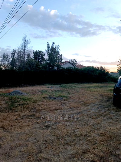100x100 Plots Milimani New Tarmac for Sale - Image 4