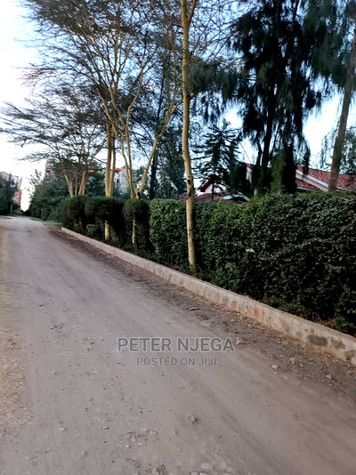 100x100 Plots Milimani New Tarmac for Sale - Image 7