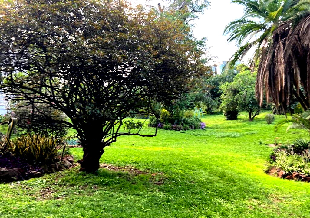 2.6-Acre Garden Plot in Westlands