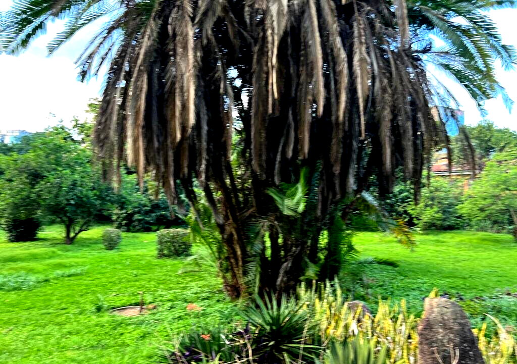 2.6-Acre Garden Plot in Westlands