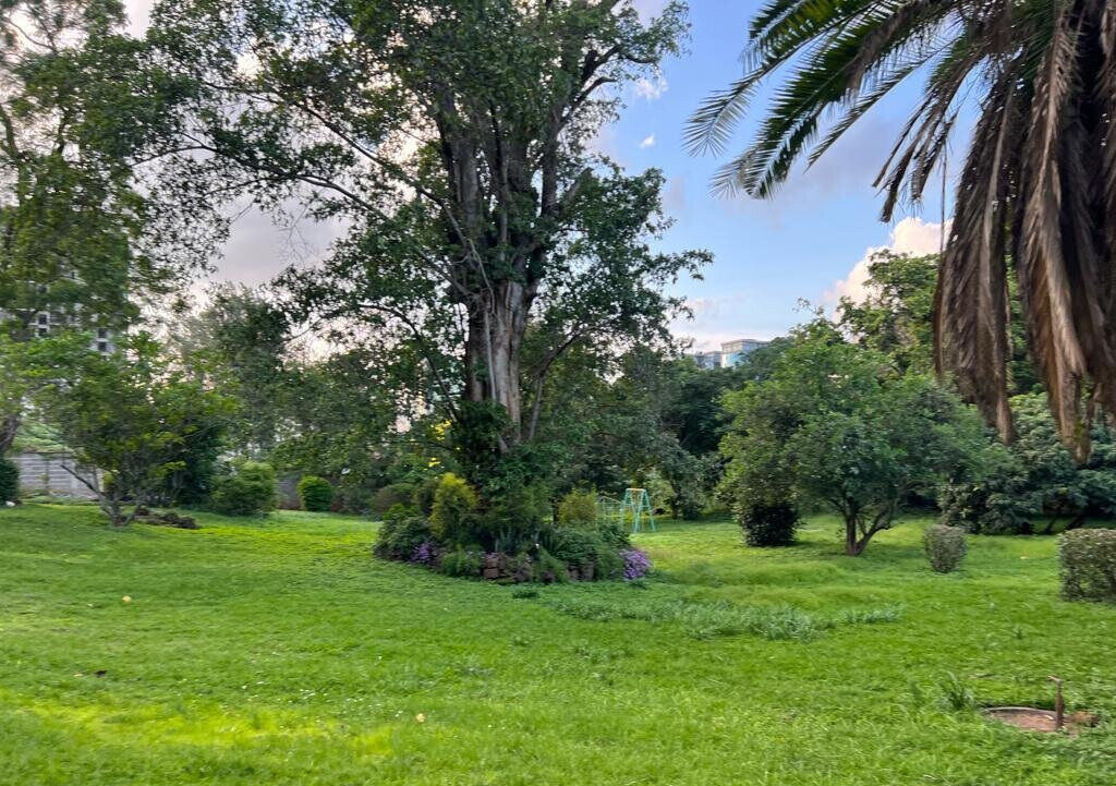 2.6-Acre Garden Plot in Westlands