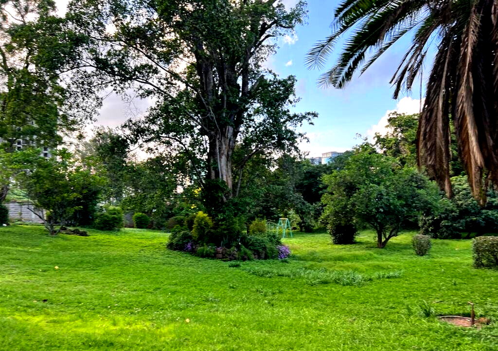 2.6-Acre Garden Plot in Westlands