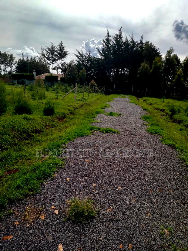1/4 Plots Marriott Ideal for Residential With Title