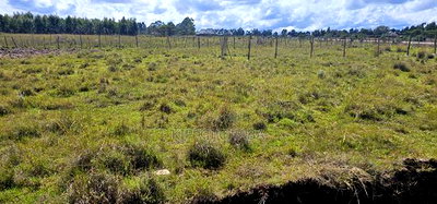 Prime Plots Touching Tarmac for Sale in Marura Eldoret - Image 3