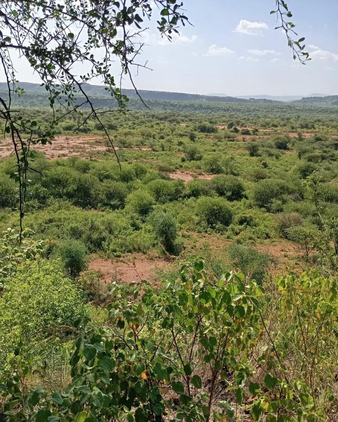 KSh 100K Plot in Kajiado CBD