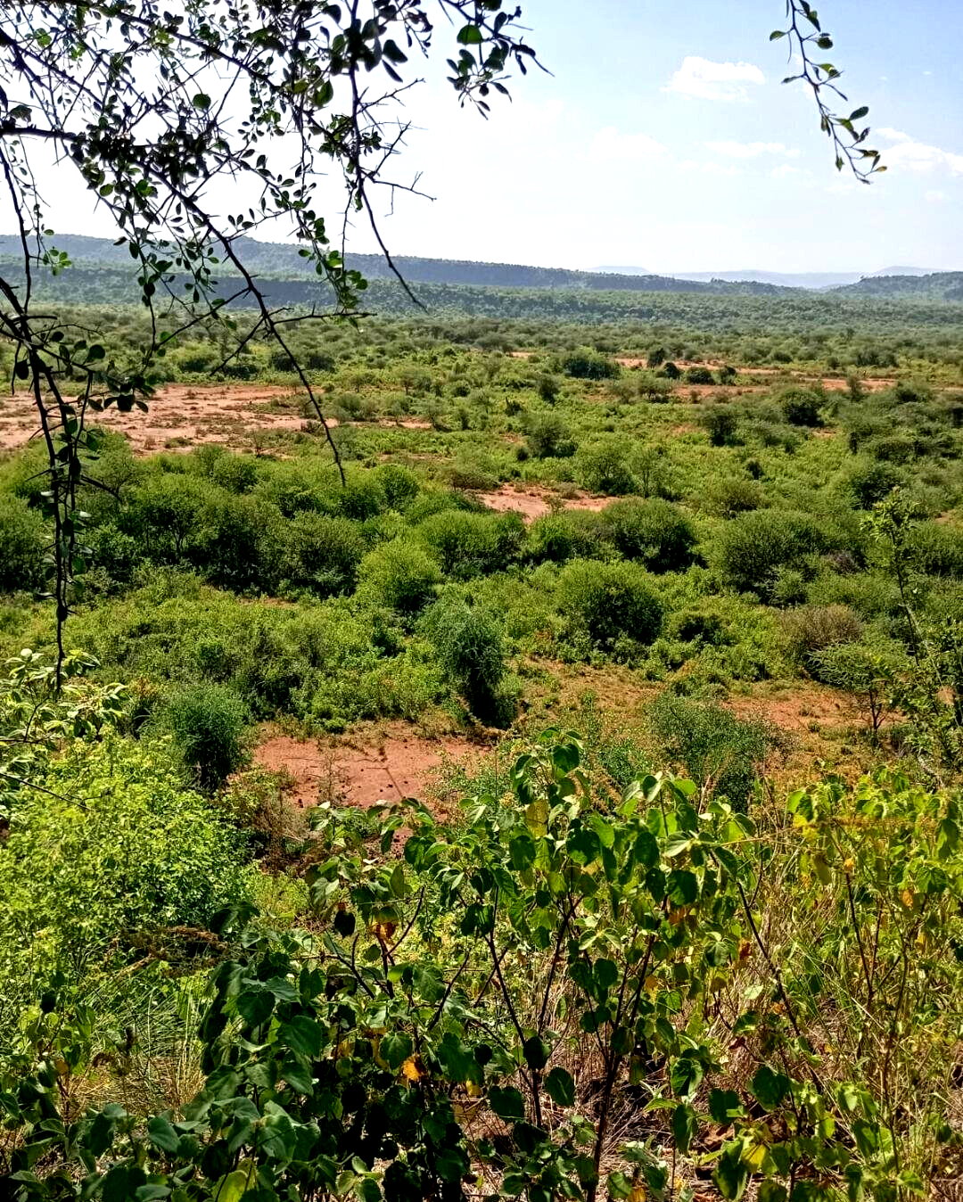 KSh 100K Plot in Kajiado CBD
