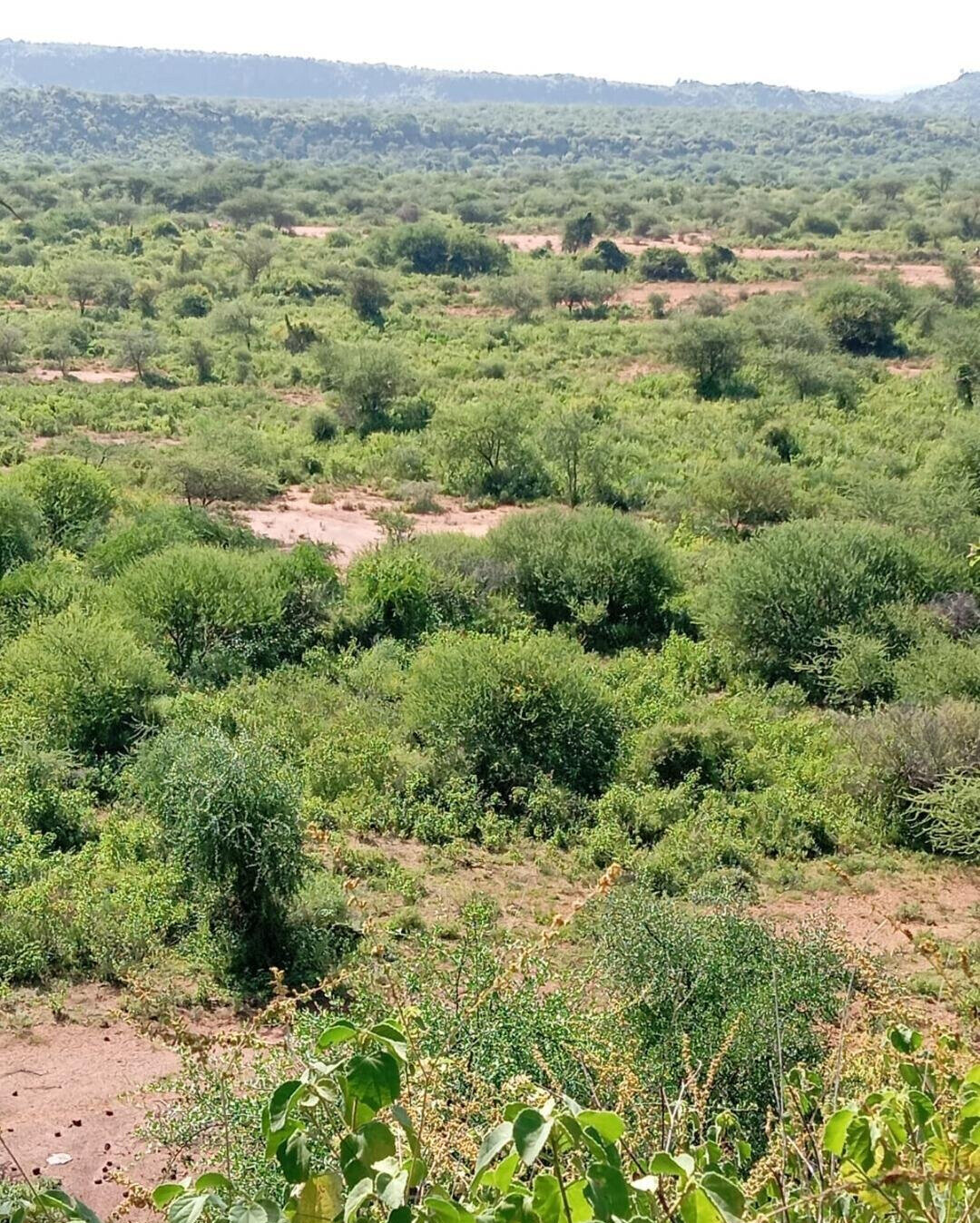 KSh 100K Plot in Kajiado CBD
