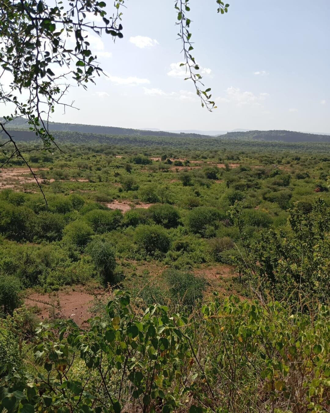 KSh 100K Plot in Kajiado CBD